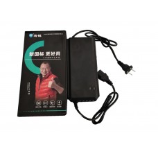 浩锐新国标充电器60v12